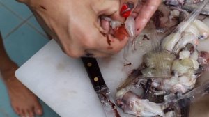 Как приготовить акулу дома