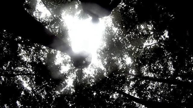 Blue Ridge Odyssey- Walk Your Path Well Adventures смотреть онлайн