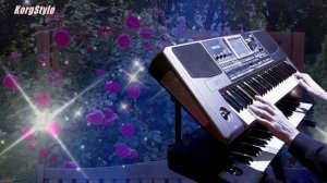 KorgStyle -Где ты была? (Korg Pa 900)  DemoVersion