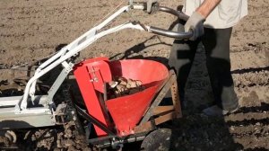Сажаем картофелесажалкой КС 1А с мотоблоком Урал МБ 1