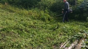 КОПАЕМ КАРТОШКУ МОТОБЛОКОМ. КОСИМ ТРИММЕРОМ БОТВУ