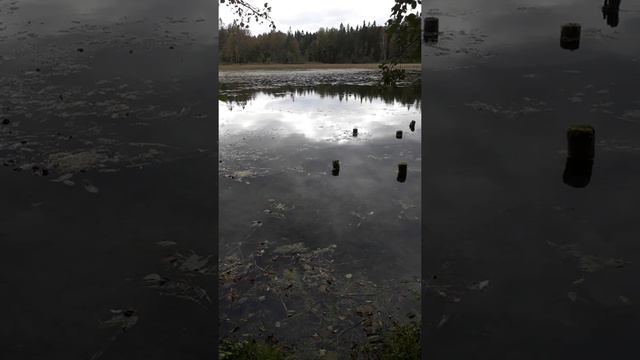 мы приехали на дачу к нашим знакомым. Мы возле озера. Часть 3 смотреть онлайн