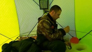 Ловля наваги в белом море