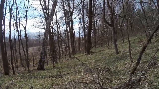 ЩУРОВО. возле турбазы Озерки, приехали посмотреть пролески. смотреть онлайн