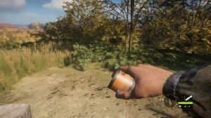 THE HUNTER CALL OF THE WILD [ОБЗОР]