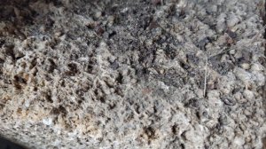 Чем кормить кур - Минеральная добавка и камни для кур.