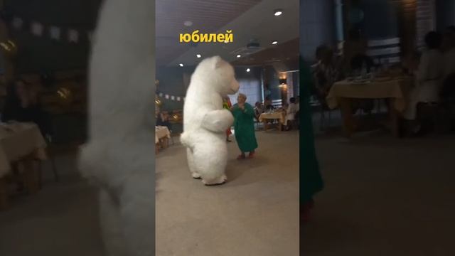 белый медведь ,подарок от тамады #умка #великийновгород #праздник смотреть онлайн
