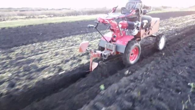 ?️⚙️Сделал лемех на плуг/ Испытание плуга минитрактором/The Ploughshare To The Plough