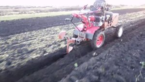 ?️⚙️Сделал лемех на плуг/ Испытание плуга минитрактором/The ploughshare to the plough