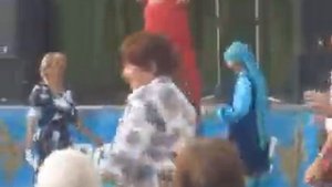 НАДЕЖДА   КОТЕНКОВА  = ВИШНЯ =