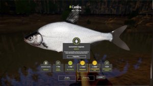 РР4 | Берш, синец, язь и лещ | Задания на новогодние мешки | Вьюнок