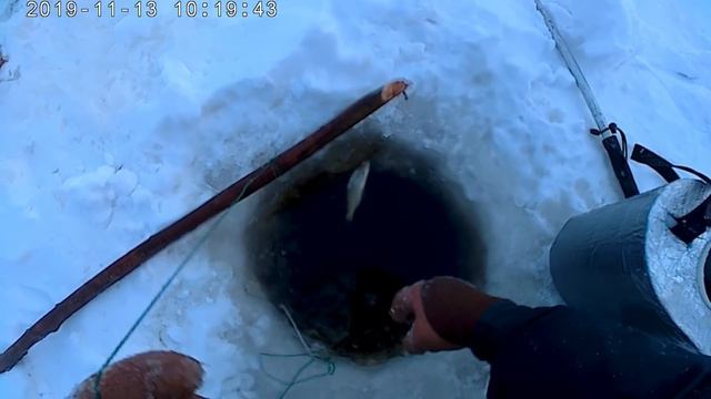 Проверка крючков на налима 13.11.2019 смотреть онлайн