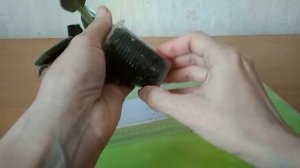 Залили фиалку - что делать?