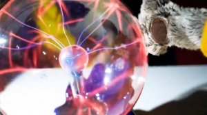 Кот Басик и волшебный котел — Видео для детей про мягкие игрушки Basik