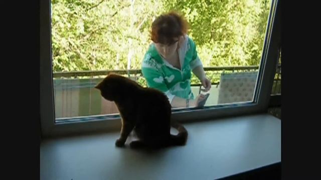 20 мая 2015 года... Мамка Наташка мыла окна... А я ведь сидел так близко , так рядом ... смотреть онлайн