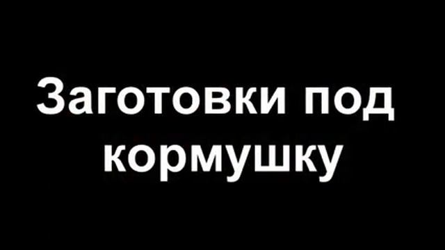 Уй шаройитида кичик бизнес килиш товук бокиш