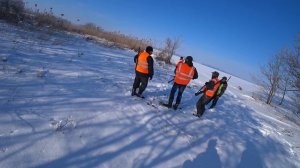 ОХОТА НА ВОЛКА, ШАКАЛА НА КУБАНИ:ПРОБНЫЙ ВЫЕЗД НА ЗАГОННУЮ ОХОТУ (БЕЗ ДОБЫЧИ)