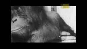 Легенди карного розшуку  "Супер солдат Сталина"