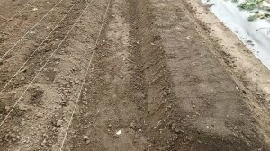 Устройство гряд -валов для клубники часть 1