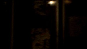 Электрический лифт V=1 м-с, грузоподъемность 320 кг (374)