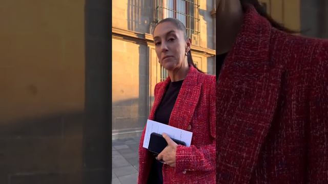 Claudia Sheinbaum Pardo puerta 8 Palacio Nacional reunión con Andrés Manuel López Obrador 7 Nov 202