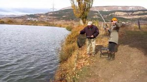 Вот ЭТО РЫБАЛКА в Кисловодске на Дальнем кордоне. #белыйАмур #зеркальныйКарп