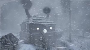 VIOLENT SNOW winds pass through the polar forest above the iceberg causing the hut freeze