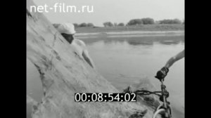 1984г. Мордовский морёный дуб.