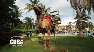 Hotel Iberostar Taínos, Varadero
