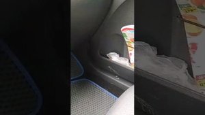 отключение Webasto после включения + стук дозирующего насоса