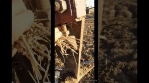 Регулировка ПГ (плоскореза) .По просьбе подписчика.