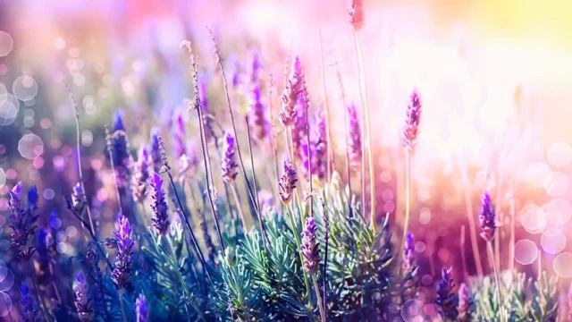 Супер расслабляющая музыка для мозга, сна смотреть онлайн