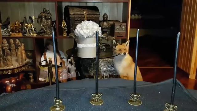 СИЛЬНАЯ ЗАЩИТА. СИЛА АВГУРА (АВТОР ИНГА ХОСРОЕВА) смотреть онлайн