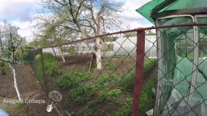 ОПОРЫ (ШПАЛЕРЫ) ДЛЯ ВЬЮЩИХСЯ РАСТЕНИЙ .ОТ ОГУРЦОВ ДО ФАСОЛИ,ПОДОЙДЁТ ДЛЯ ЧЕГО УГОДНО,ПРОСЛУЖИТ ГОДА