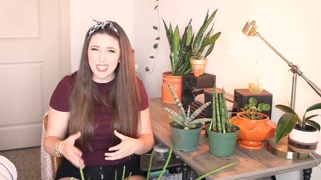 Sansevieria Cylindrica (African Spear) Plant Care Guide For Beginners (Plant Giveaway) смотреть онлайн
