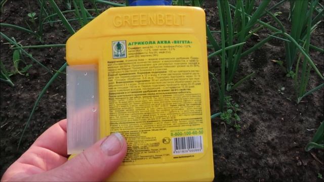 ЛУК С КУЛАК!! ЛУЧШАЯ ПОДКОРМКА ЛУКА ДЛЯ КРАСИВОГО СОЧНОГО ПЕРА И БОЛЬШОЙ РЕПКИ смотреть онлайн