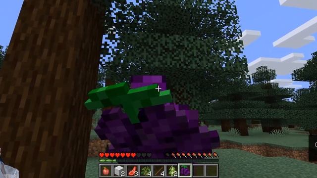 Minecraft[1.16.5] - МОД - Zerth's Juniper Tea - Можжевеловые ягоды и вкусный чай для восстановления смотреть онлайн