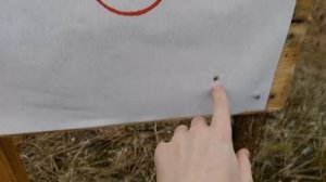 Пуля "ТРИО". Связывание. Есть ли смысл? Отстрел