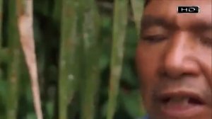 Самая большая змея планеты    Анаконда