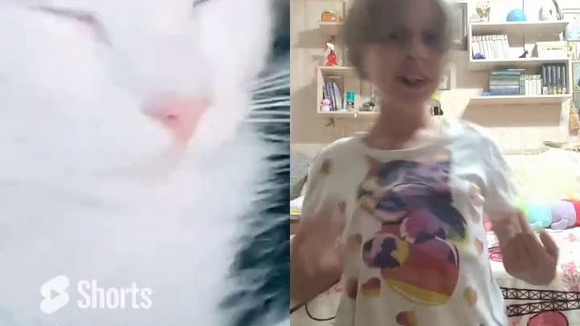 💚🐾вася