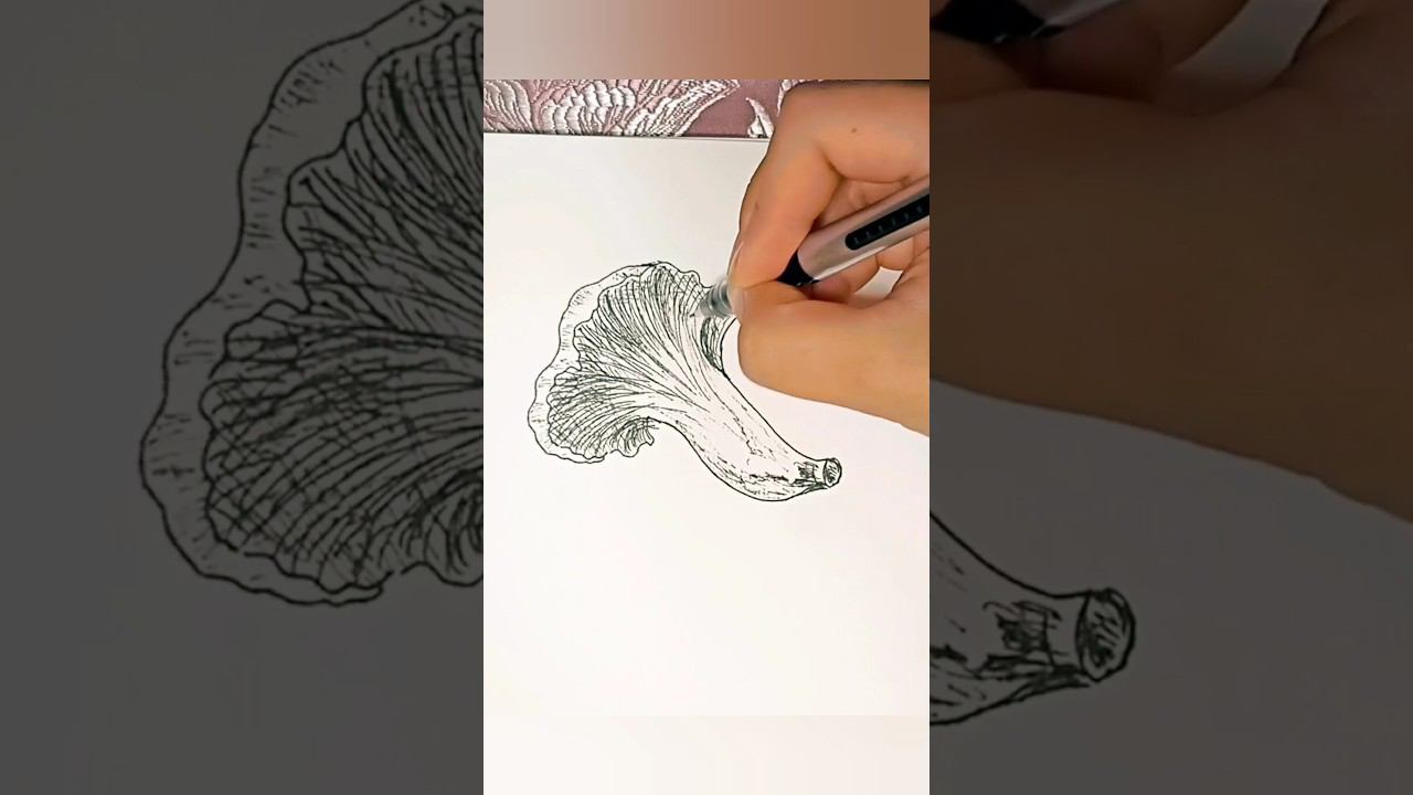 Рисуем гриб за 1 минуту #рисуем #заминуту #лисичка #грибы #рисуемвместе
