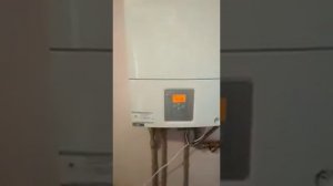 Газовый котел Bosch Gaz 6000 W WBN 18 C