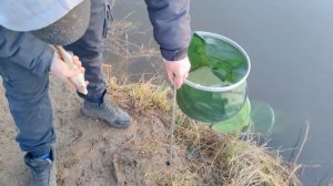 Ловля леща на фидер. Рыбалка на реке Кудьма. Рыбалка в Нижегородской области