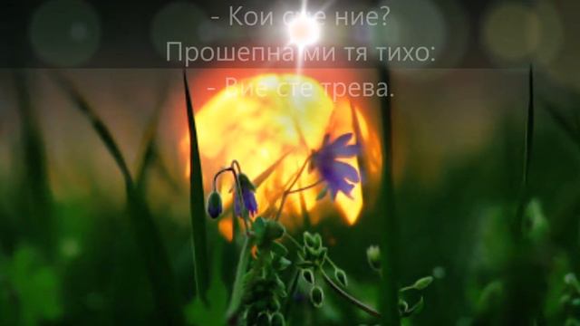 ЗЕМЯ