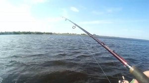 Рыбалка и Ловля судака в отвес на джиг в Ленинградской области 2016