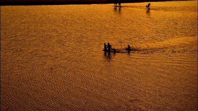 Верхом на верблюде Riding a camel смотреть онлайн