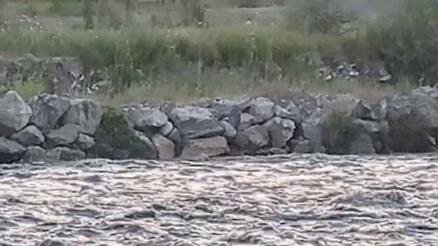 СУХ - Уровень воды поднимается. смотреть онлайн