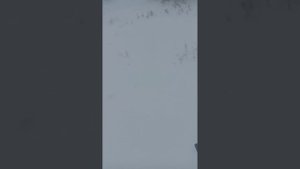 заброшенные деревни Алтайского края