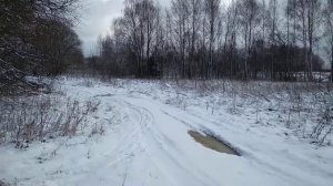 Посадим липу в старую ямку .