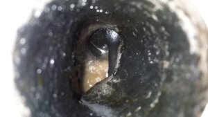 Опрессовка ГБЦ двигателя Mercedes-Benz OM 602 (а/м MB Sprinter)